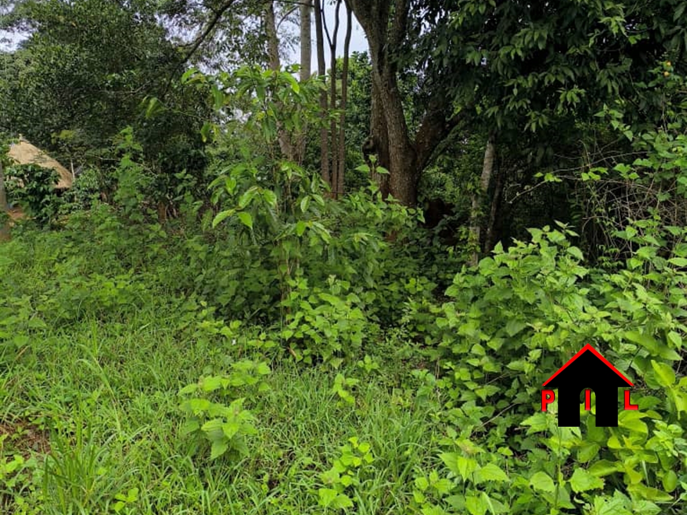 Farm for sale in Kakooge Luweero