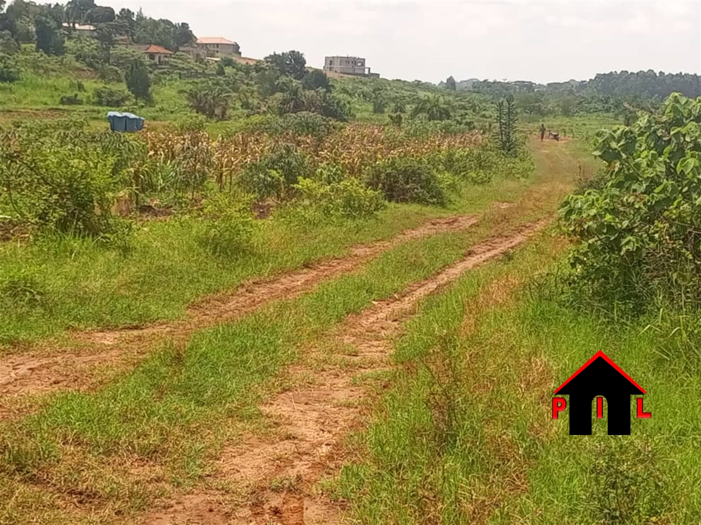 Commercial Land for sale in Buwaate Wakiso