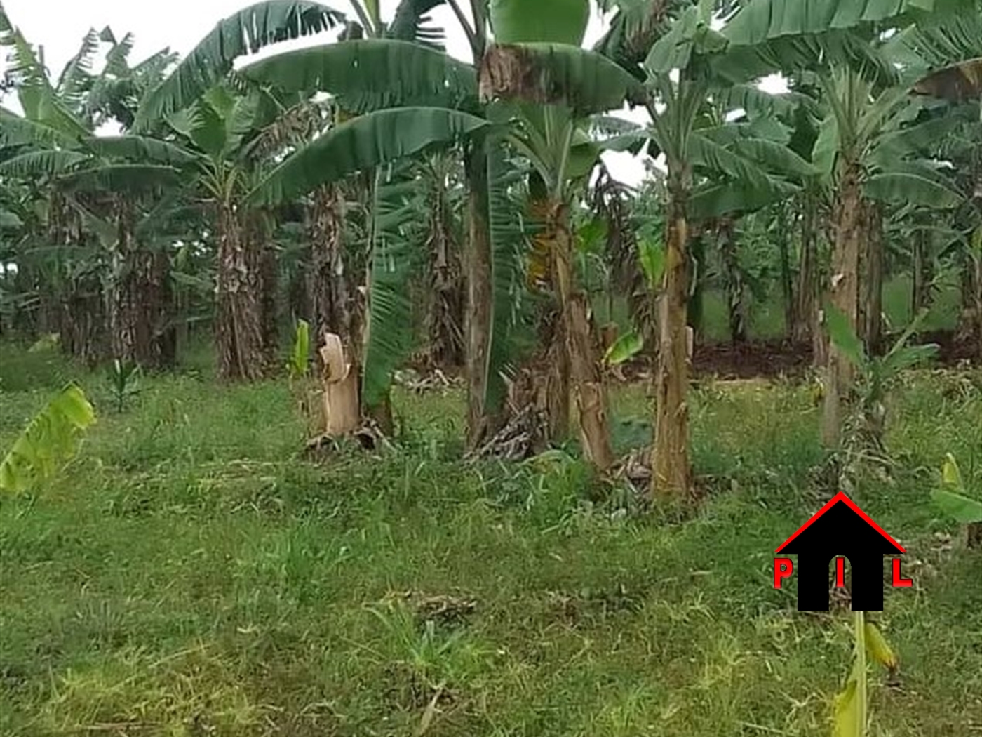 Residential Land for sale in Kakiri Wakiso