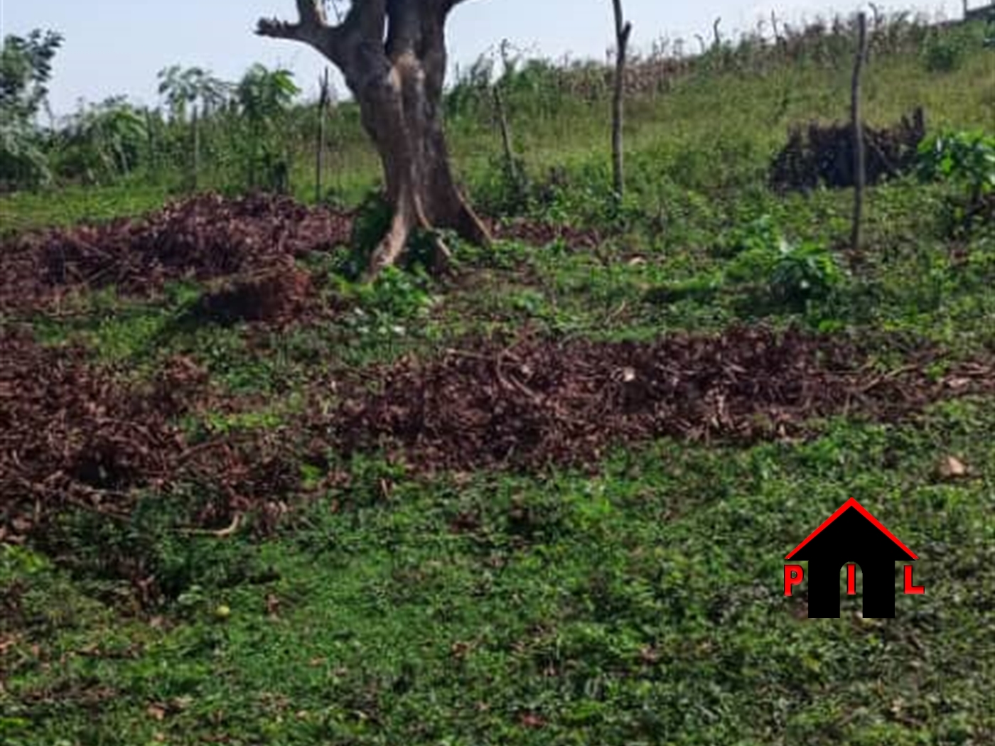 Residential Land for sale in Kijabijo Wakiso