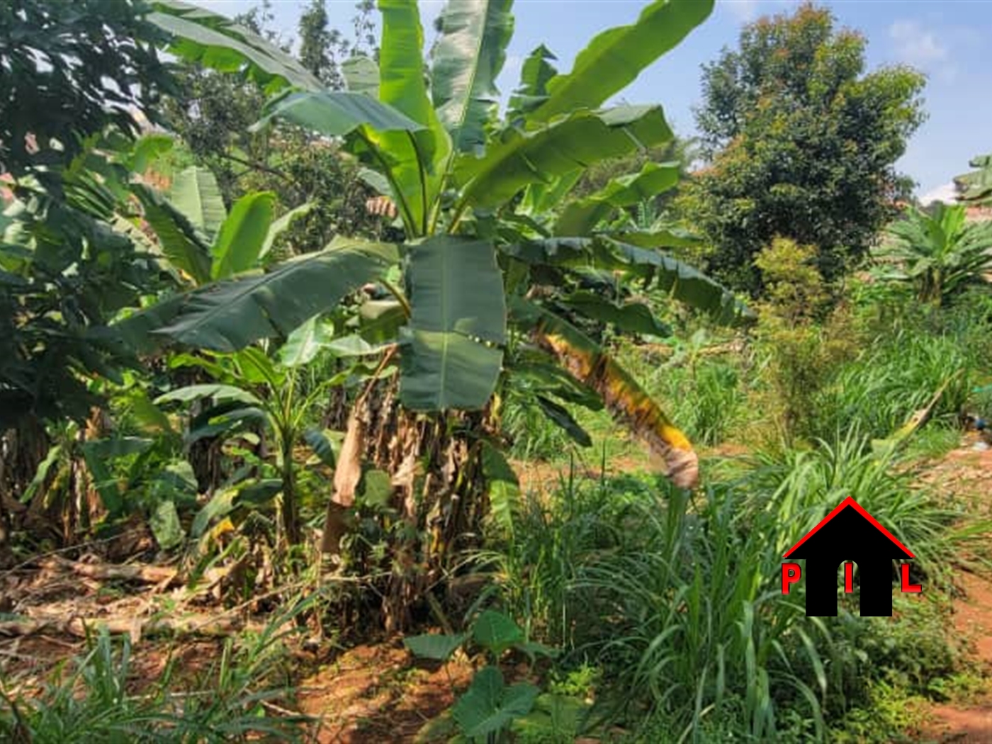 Residential Land for sale in Kyanja Kampala