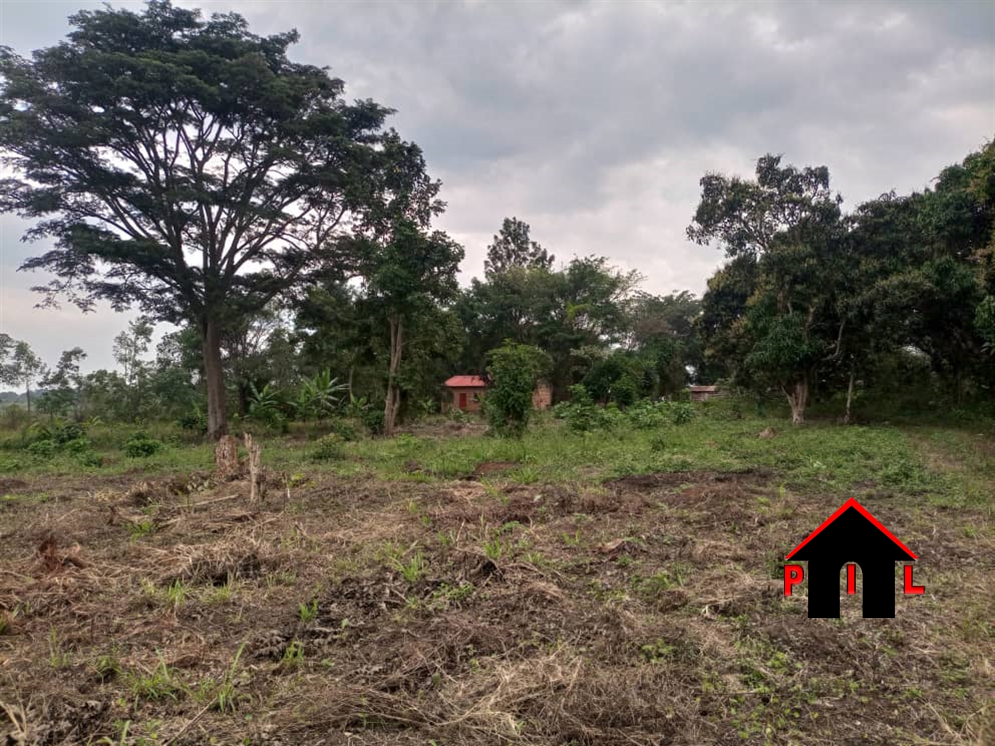 Farm for sale in Mityanacenter Mityana