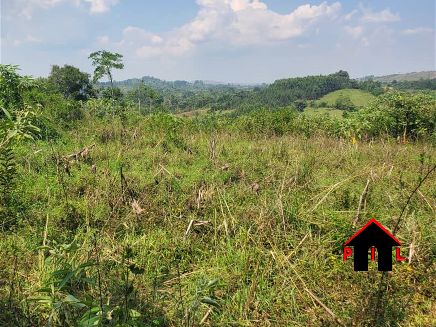 Agricultural Land for sale in Kyenjojotwn Kyenjojo