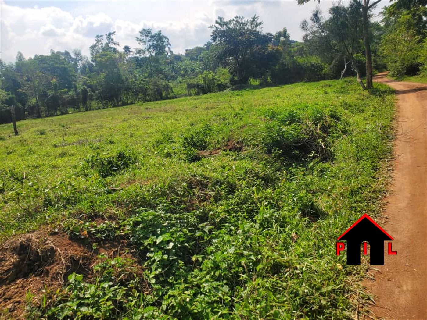 Agricultural Land for sale in Kyenjojotwn Kyenjojo