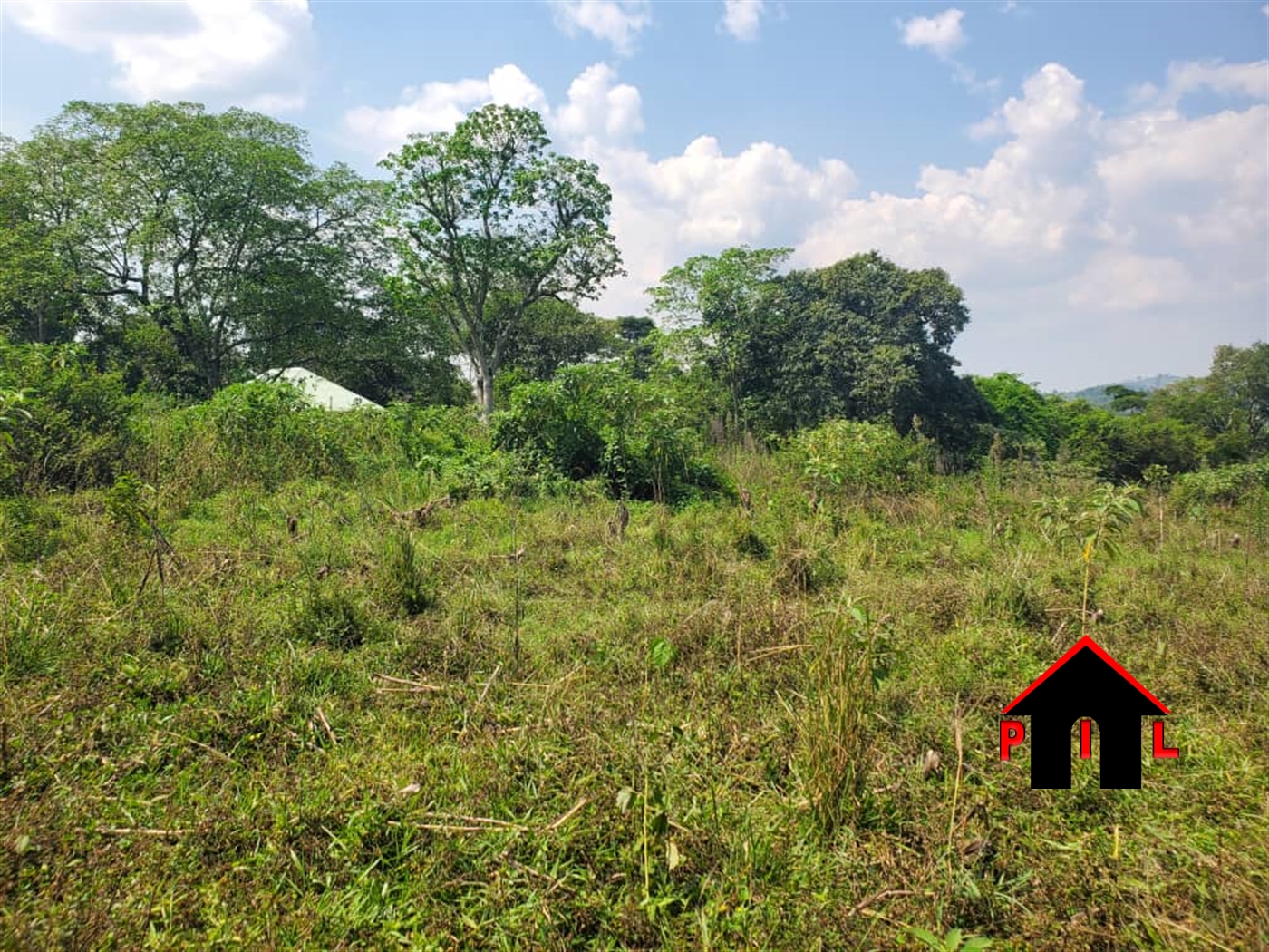 Agricultural Land for sale in Kyenjojotwn Kyenjojo