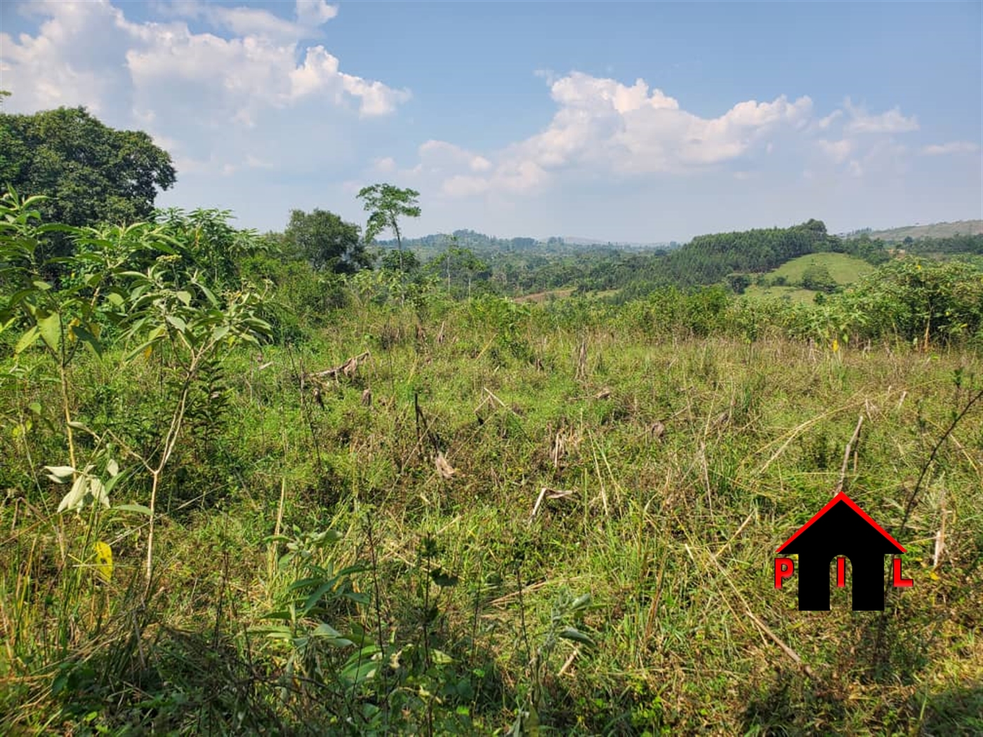 Agricultural Land for sale in Kyenjojotwn Kyenjojo