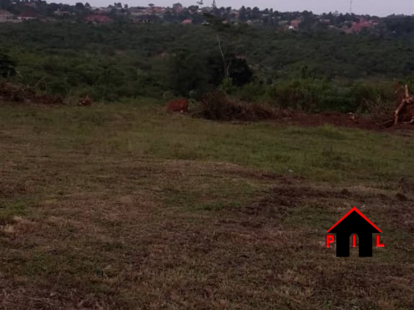 Commercial Land for sale in Kyaggwe Mukono