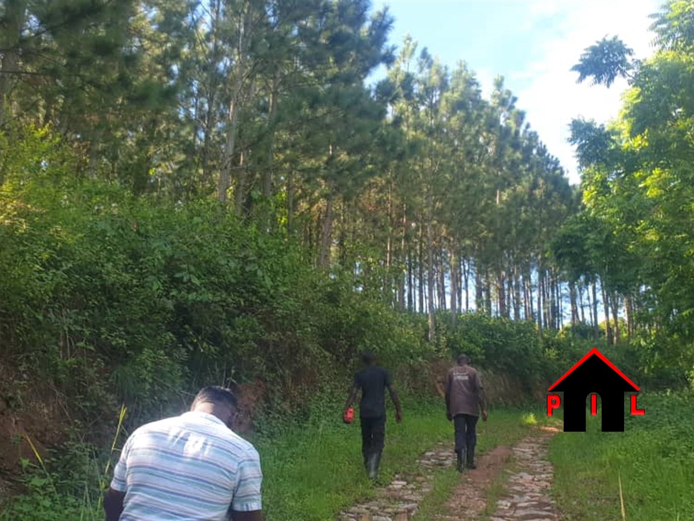 Commercial Land for sale in Kawomya Kayunga