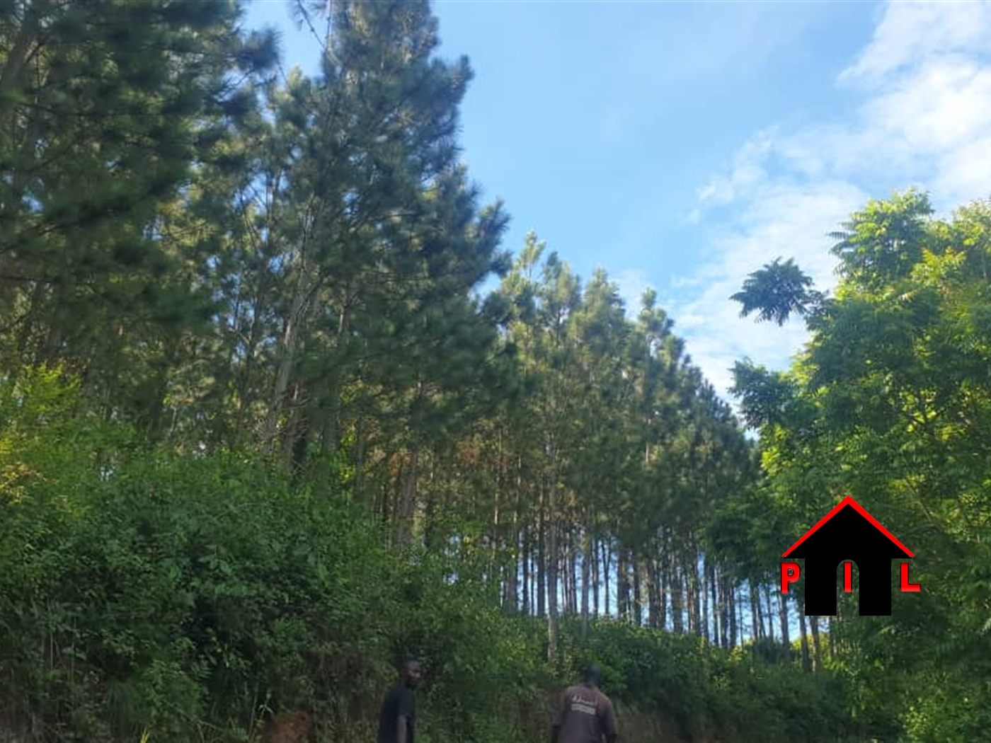 Commercial Land for sale in Kawomya Kayunga