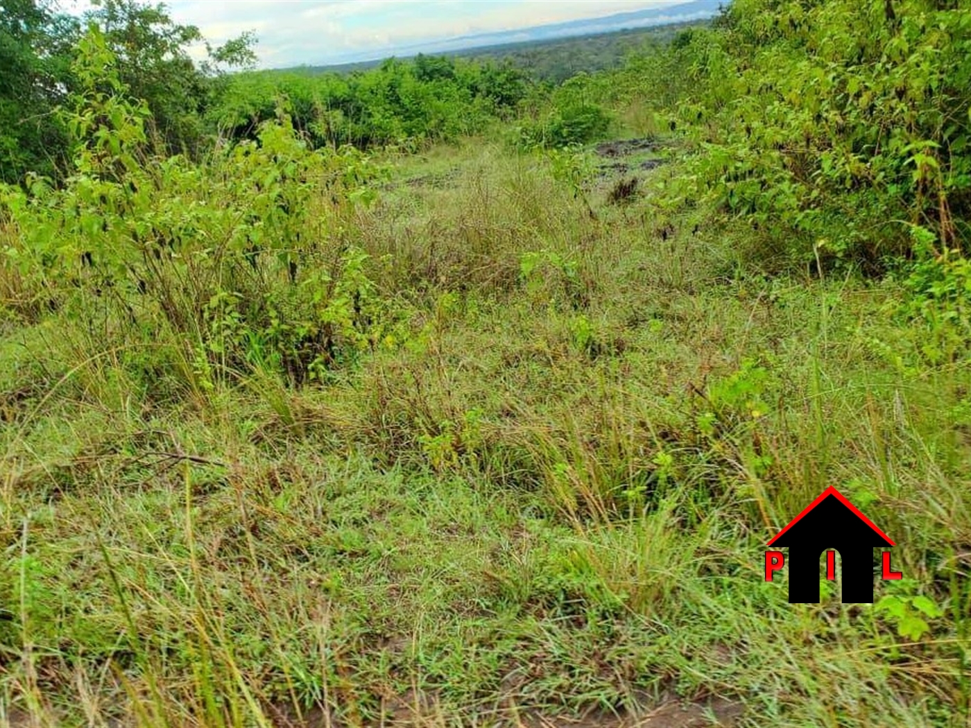 Agricultural Land for sale in Butuku Hoima