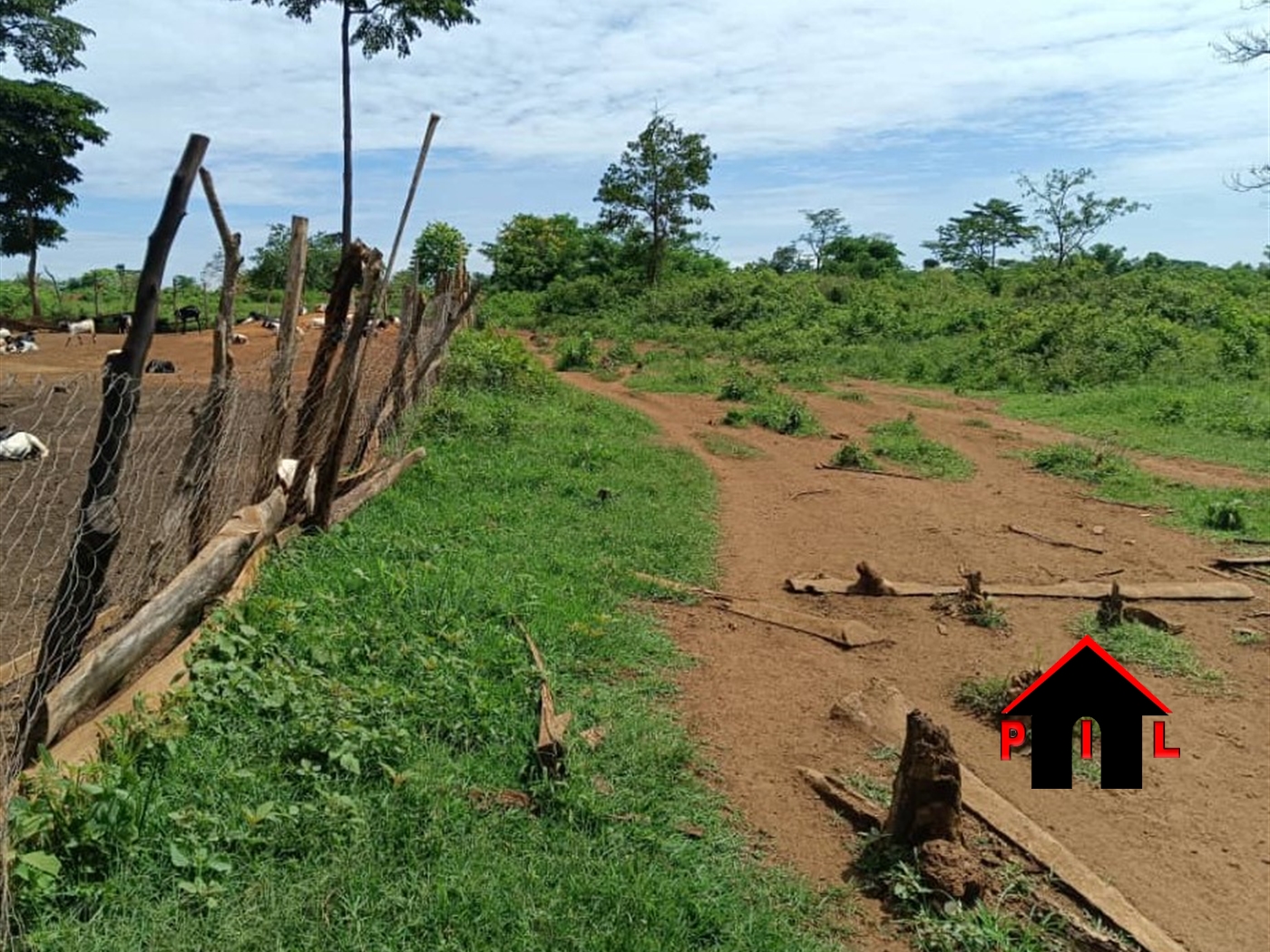 Farm for sale in Kamiraa Luweero