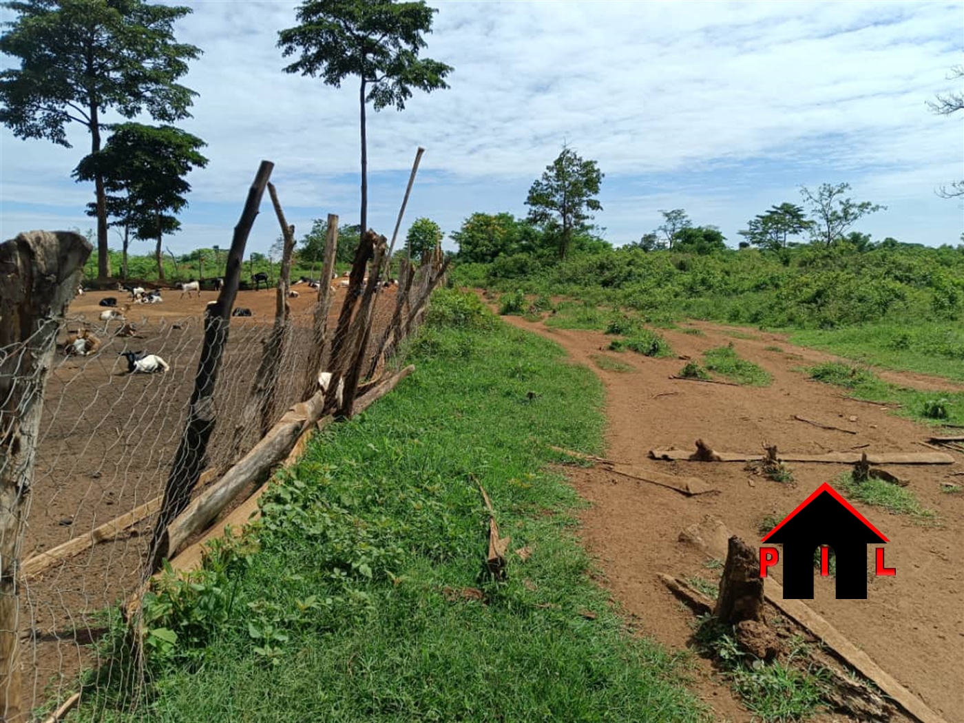 Farm for sale in Kamiraa Luweero