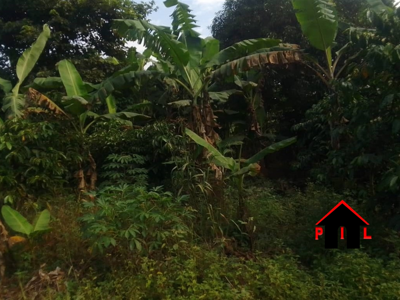 Farm for sale in Mityanacenter Mityana