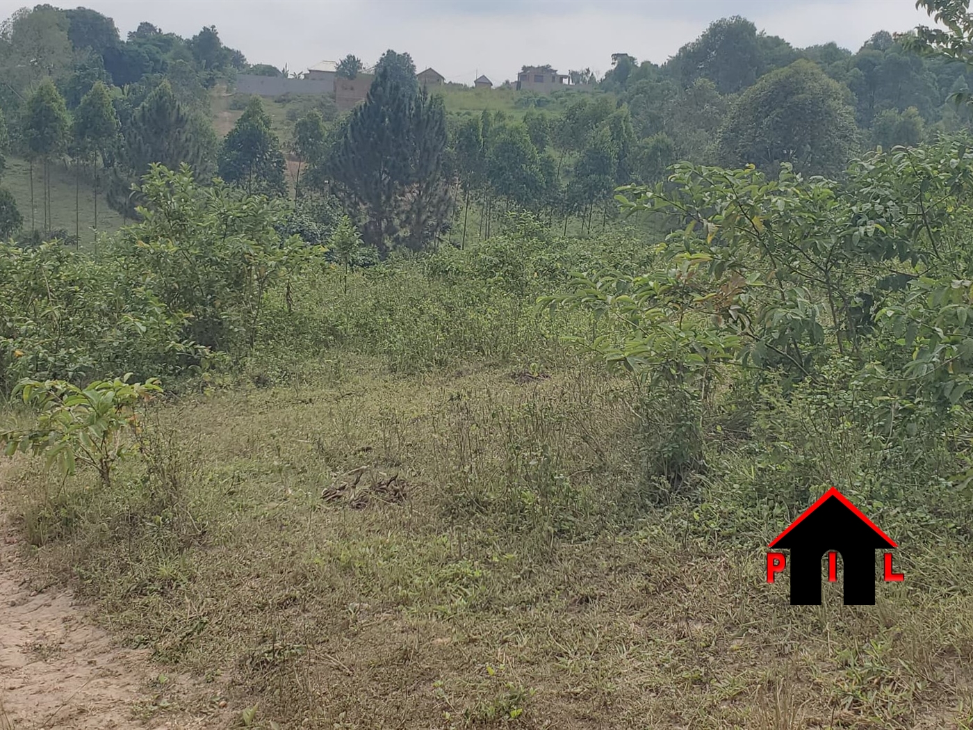 Commercial Land for sale in Buwambo Wakiso