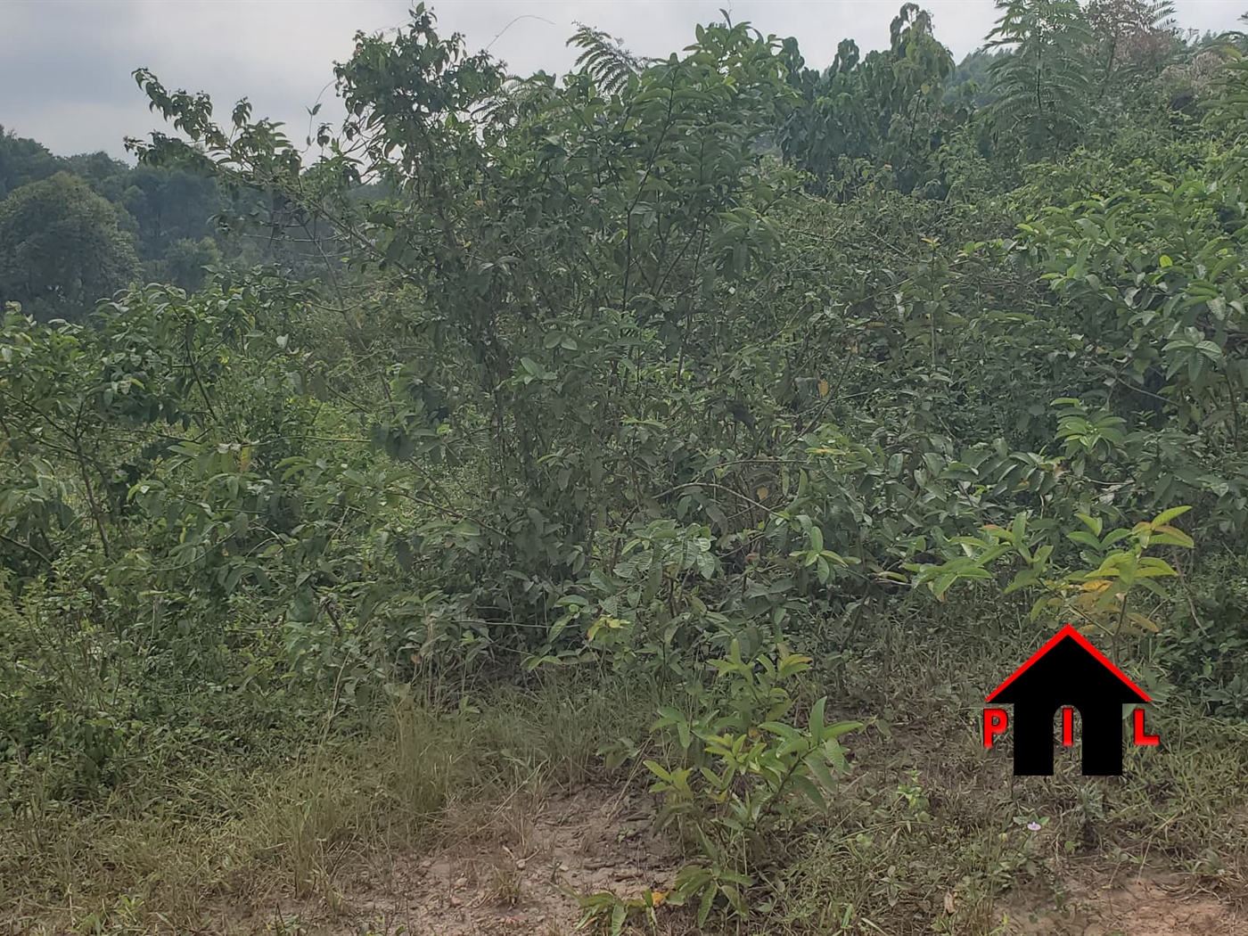 Commercial Land for sale in Buwambo Wakiso