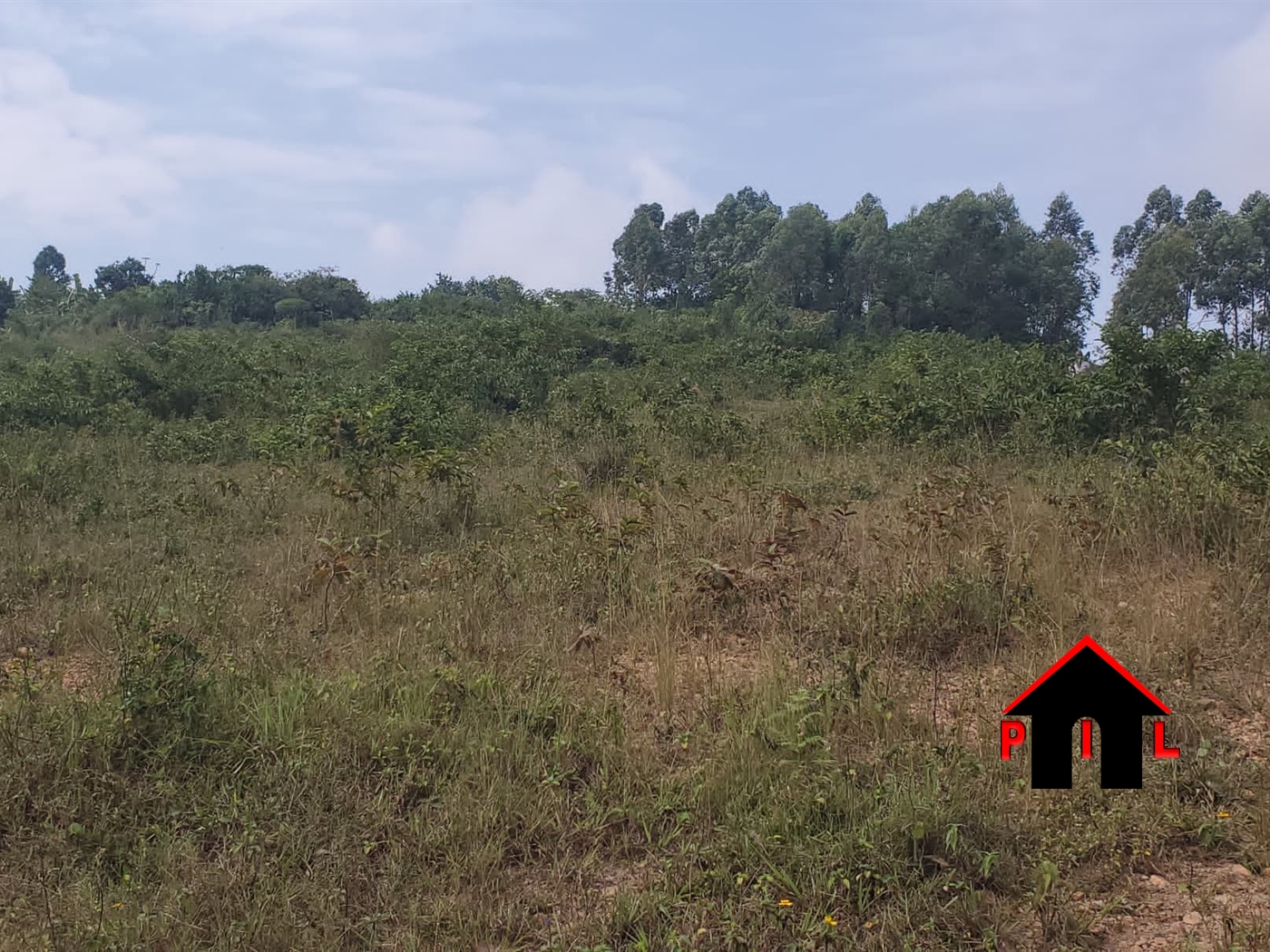 Commercial Land for sale in Buwambo Wakiso