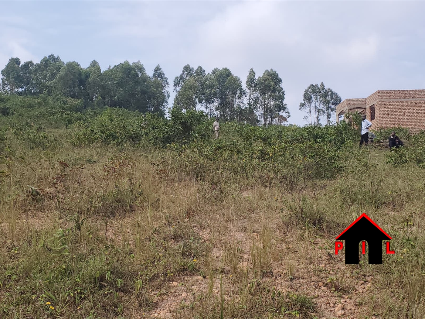 Commercial Land for sale in Buwambo Wakiso