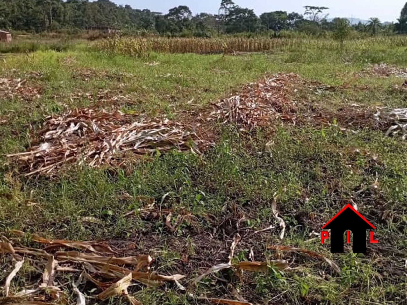 Agricultural Land for sale in Kyabazala Mukono