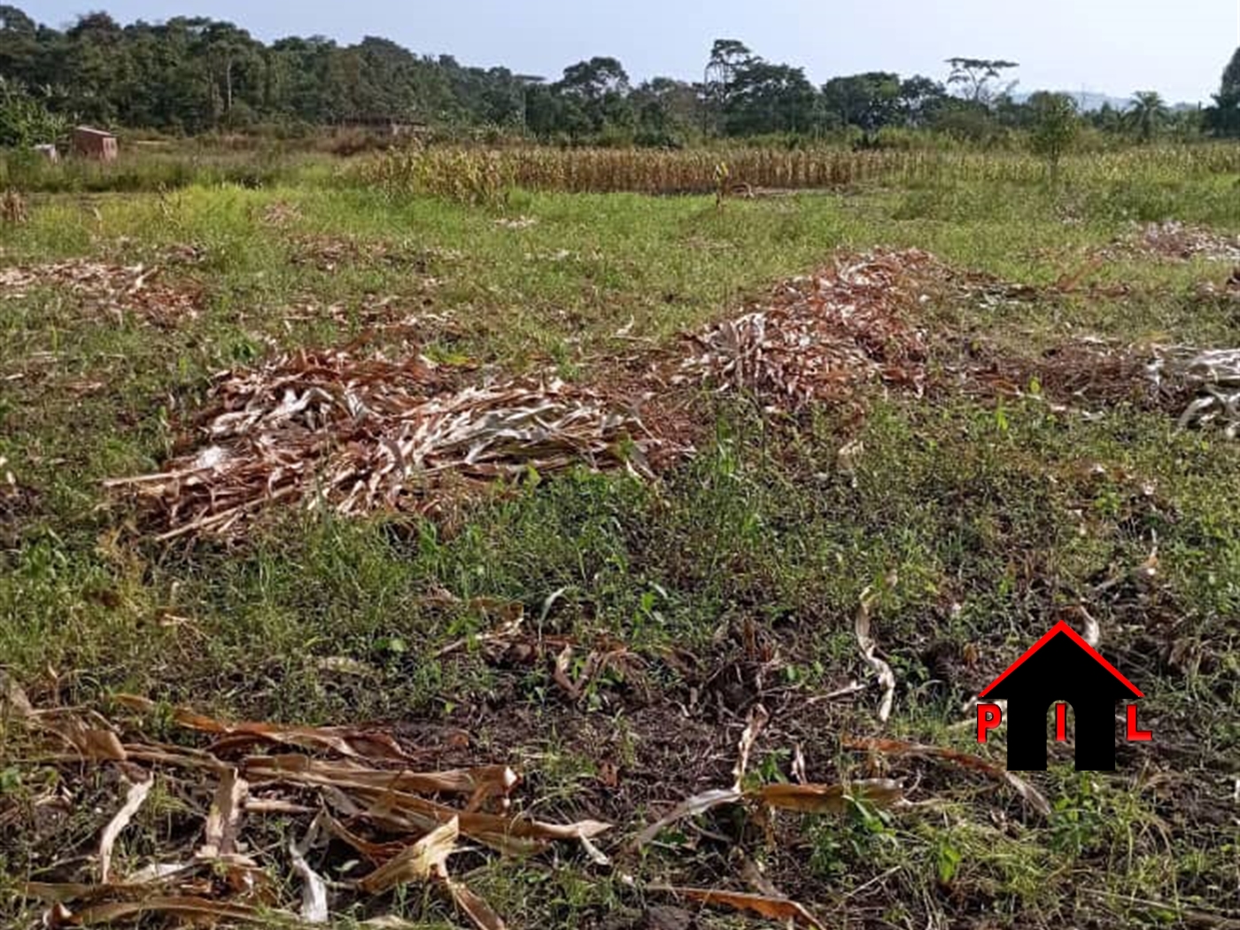 Agricultural Land for sale in Kyabazala Mukono