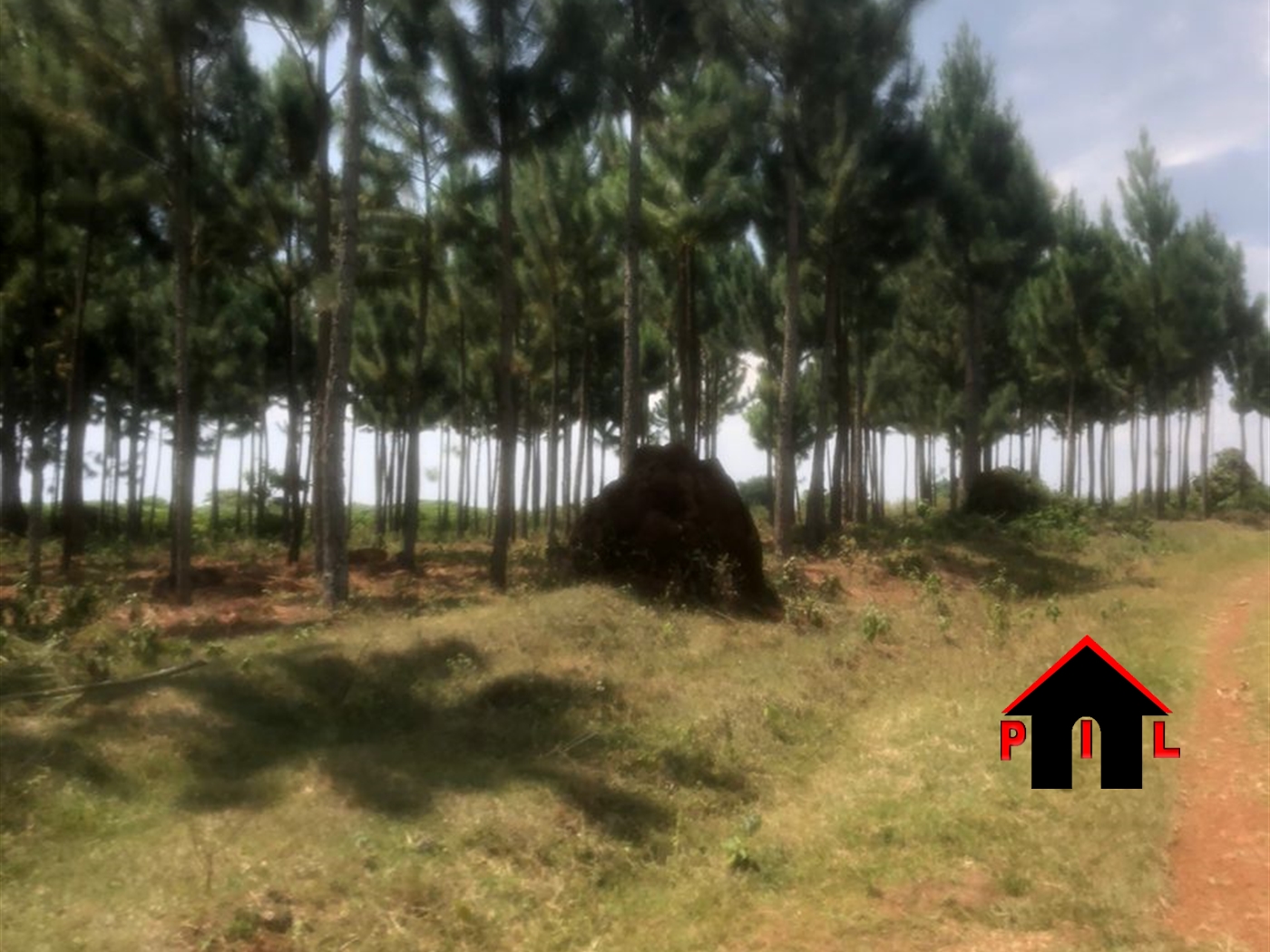 Agricultural Land for sale in Mubendetwn Mubende