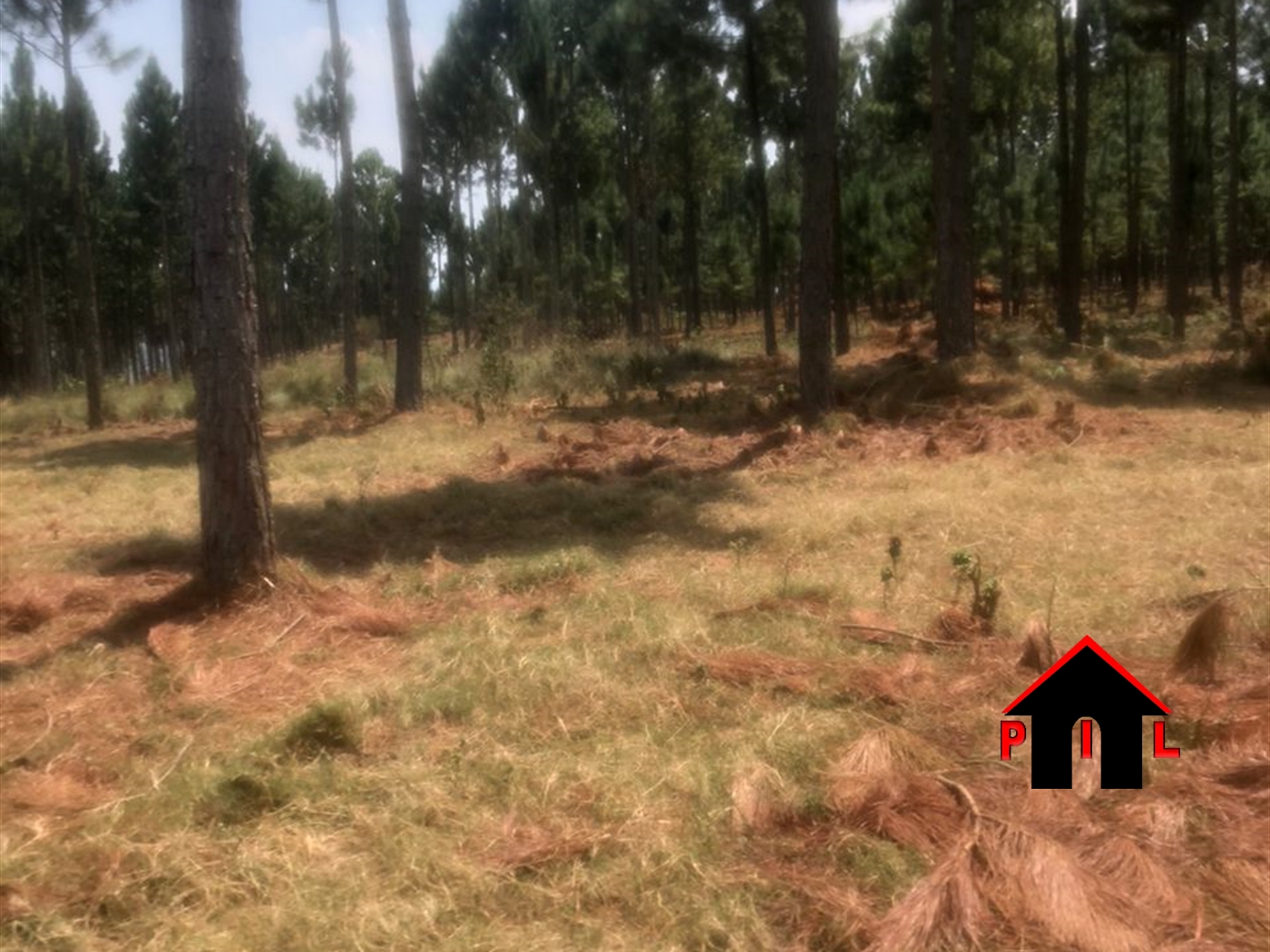 Agricultural Land for sale in Mubendetwn Mubende