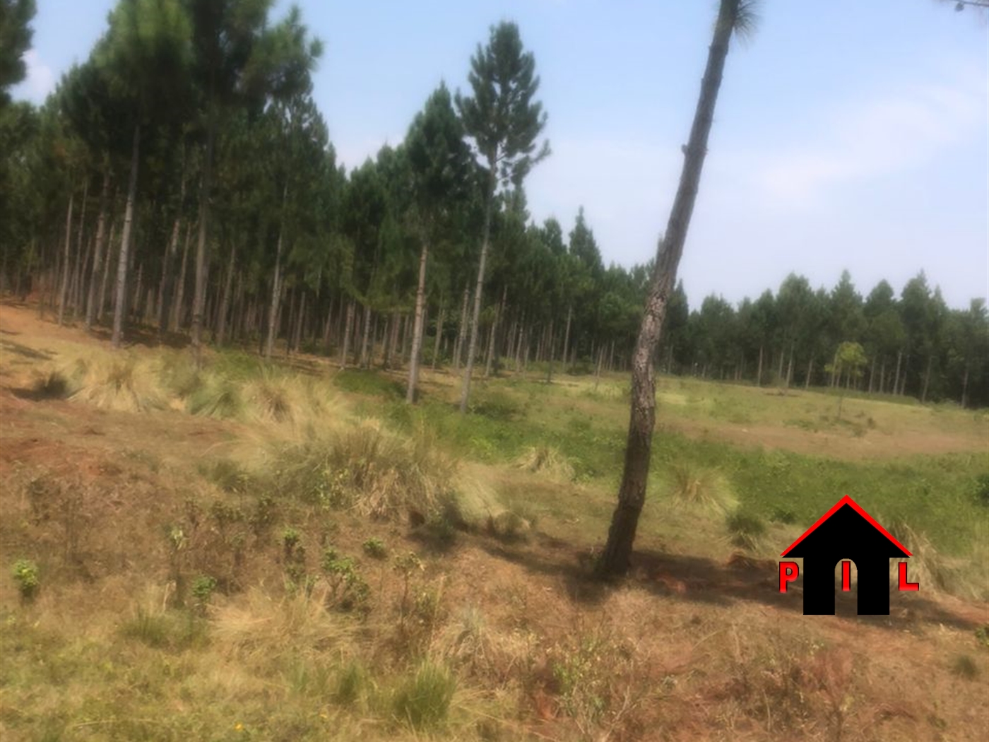 Agricultural Land for sale in Kyankwazii Kyankwazi