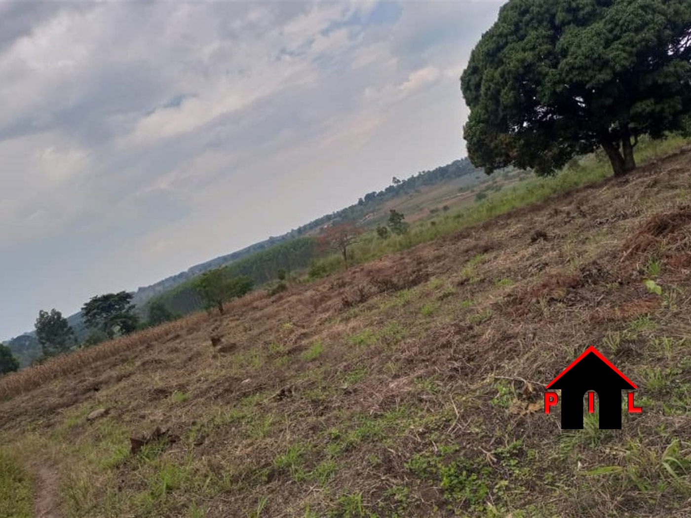 Agricultural Land for sale in Mityanacenter Mityana