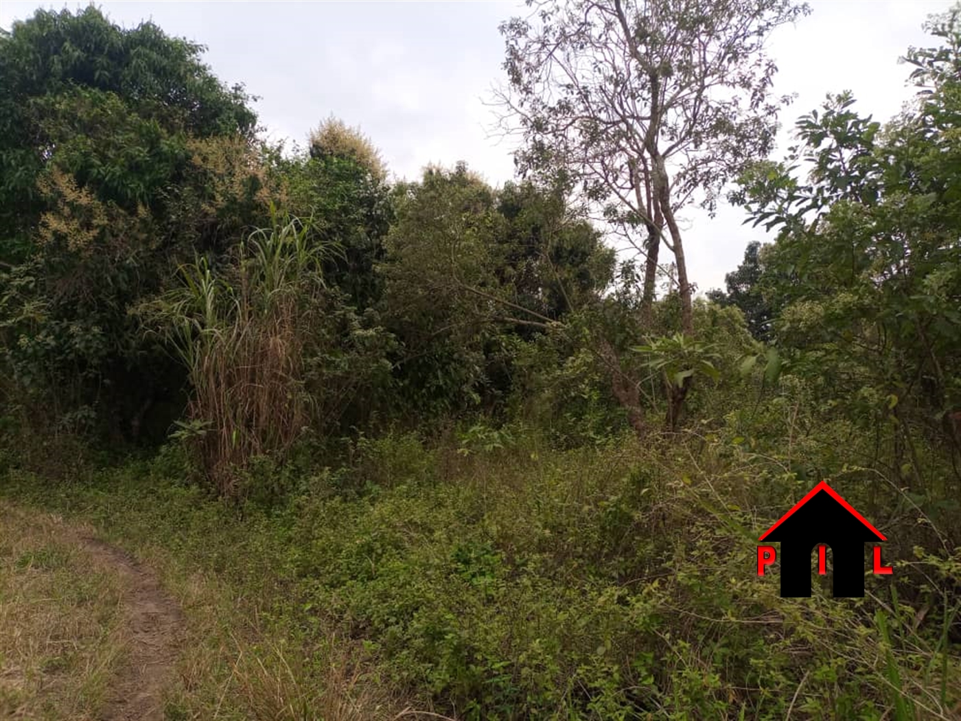 Agricultural Land for sale in Mityanacenter Mityana