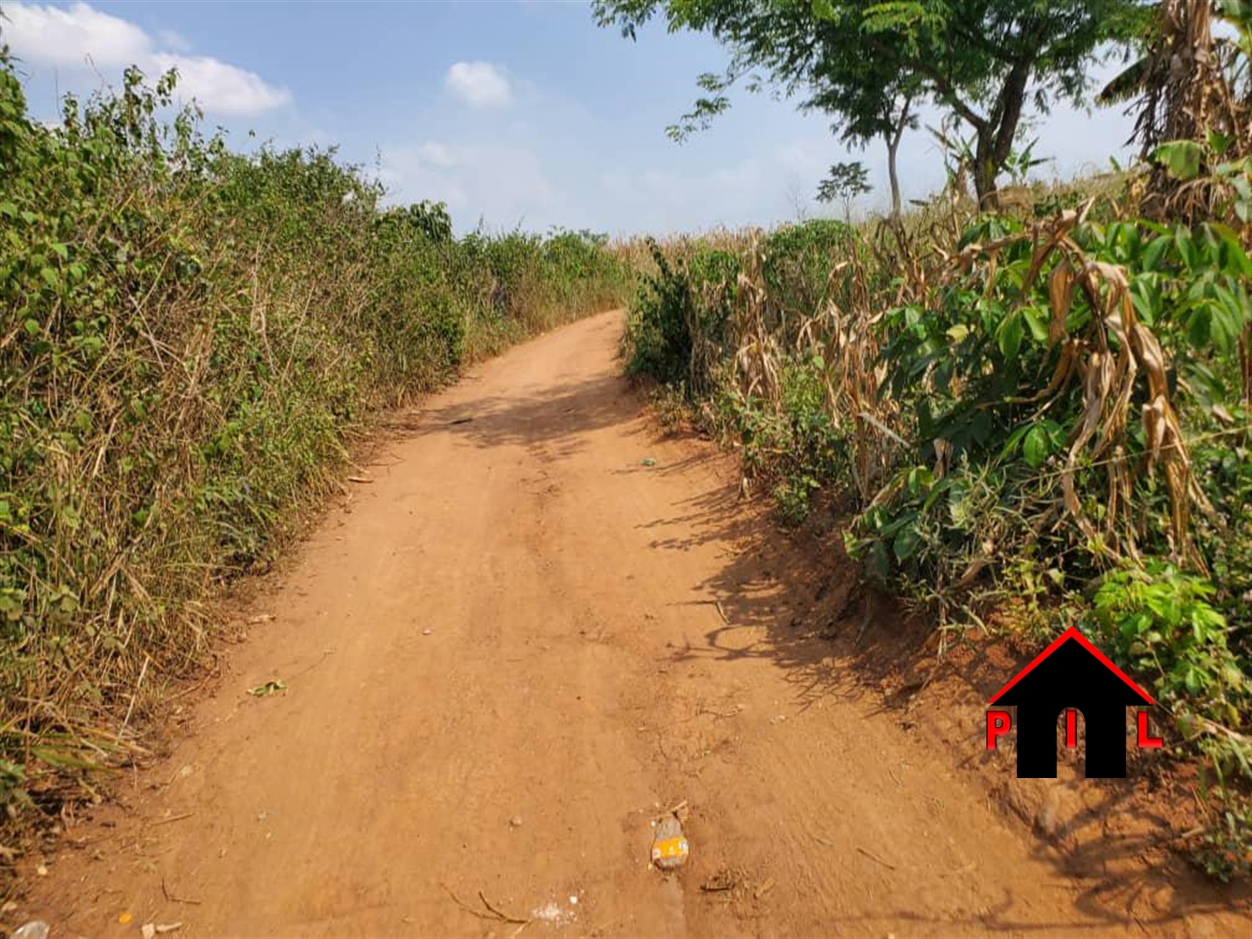 Agricultural Land for sale in Kamiraa Luweero