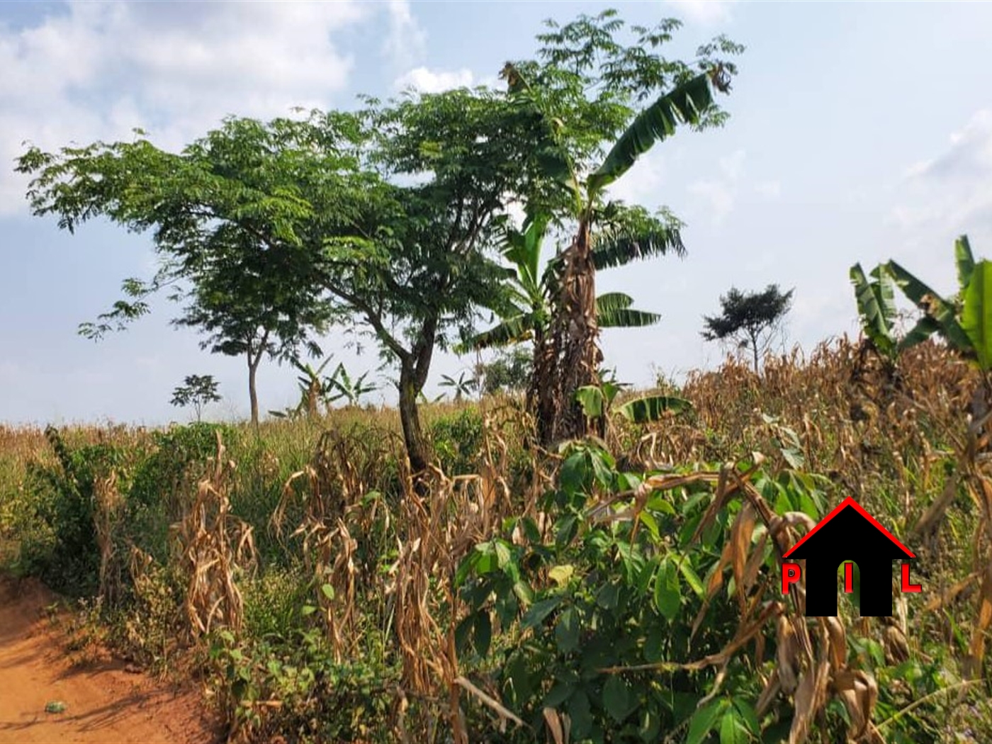 Agricultural Land for sale in Kamiraa Luweero