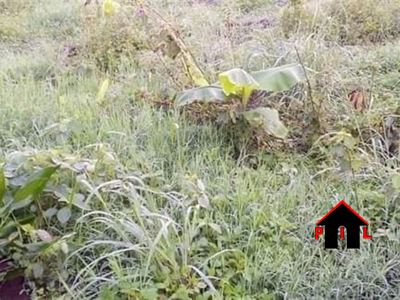 Commercial Land for sale in Kigoogwa Kampala