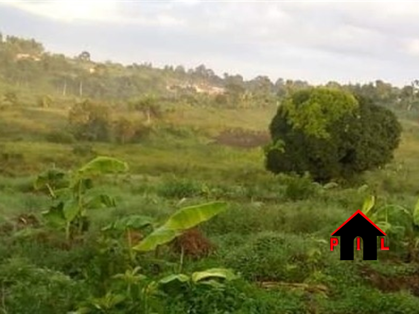 Commercial Land for sale in Kigoogwa Kampala