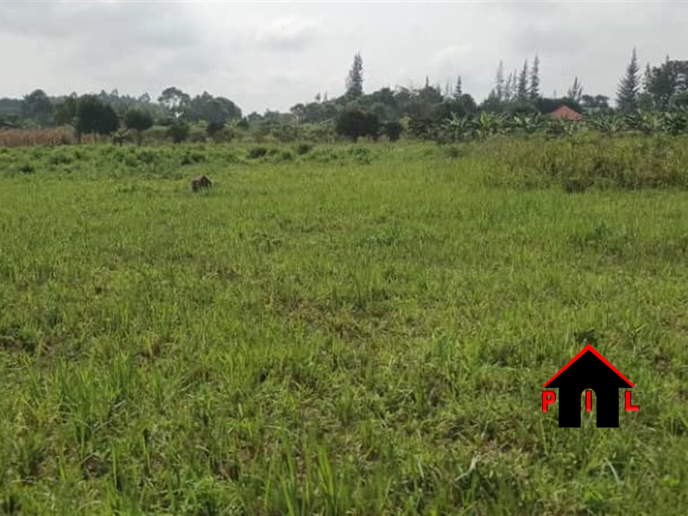 Residential Land for sale in Busiika Luweero