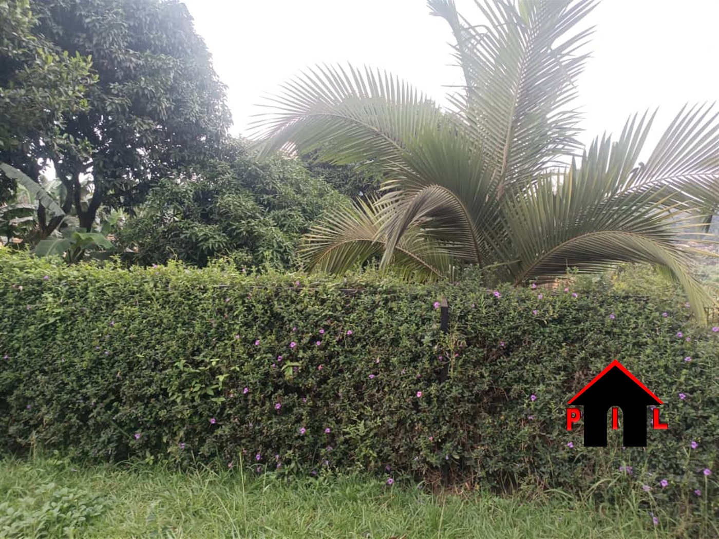 Bungalow for sale in Gayaza Wakiso