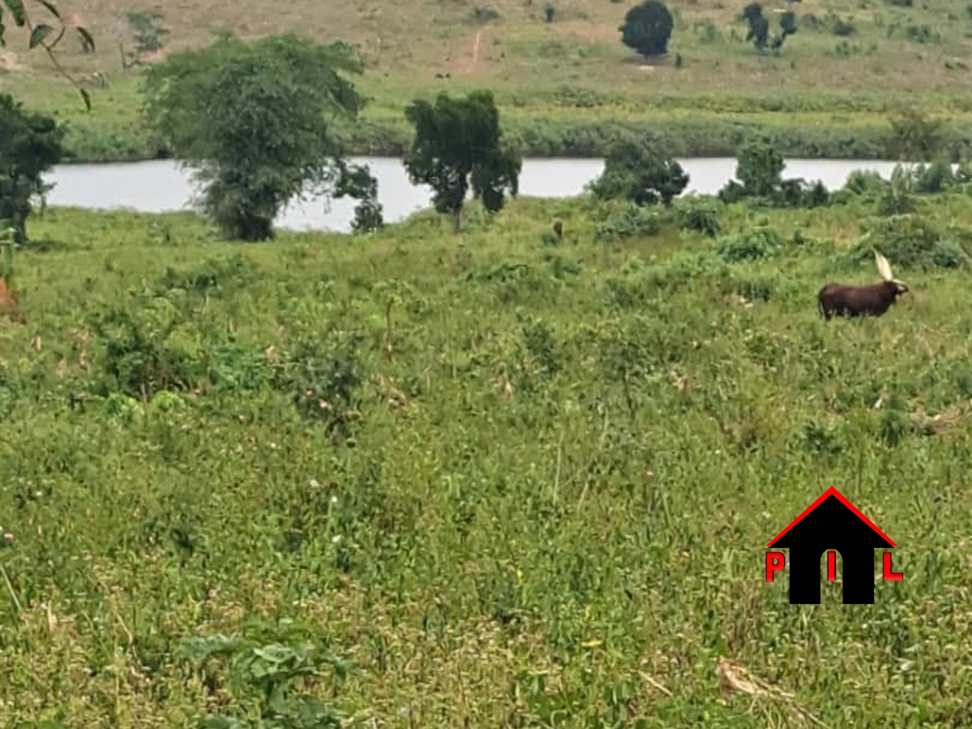 Agricultural Land for sale in Gombatwn Gomba