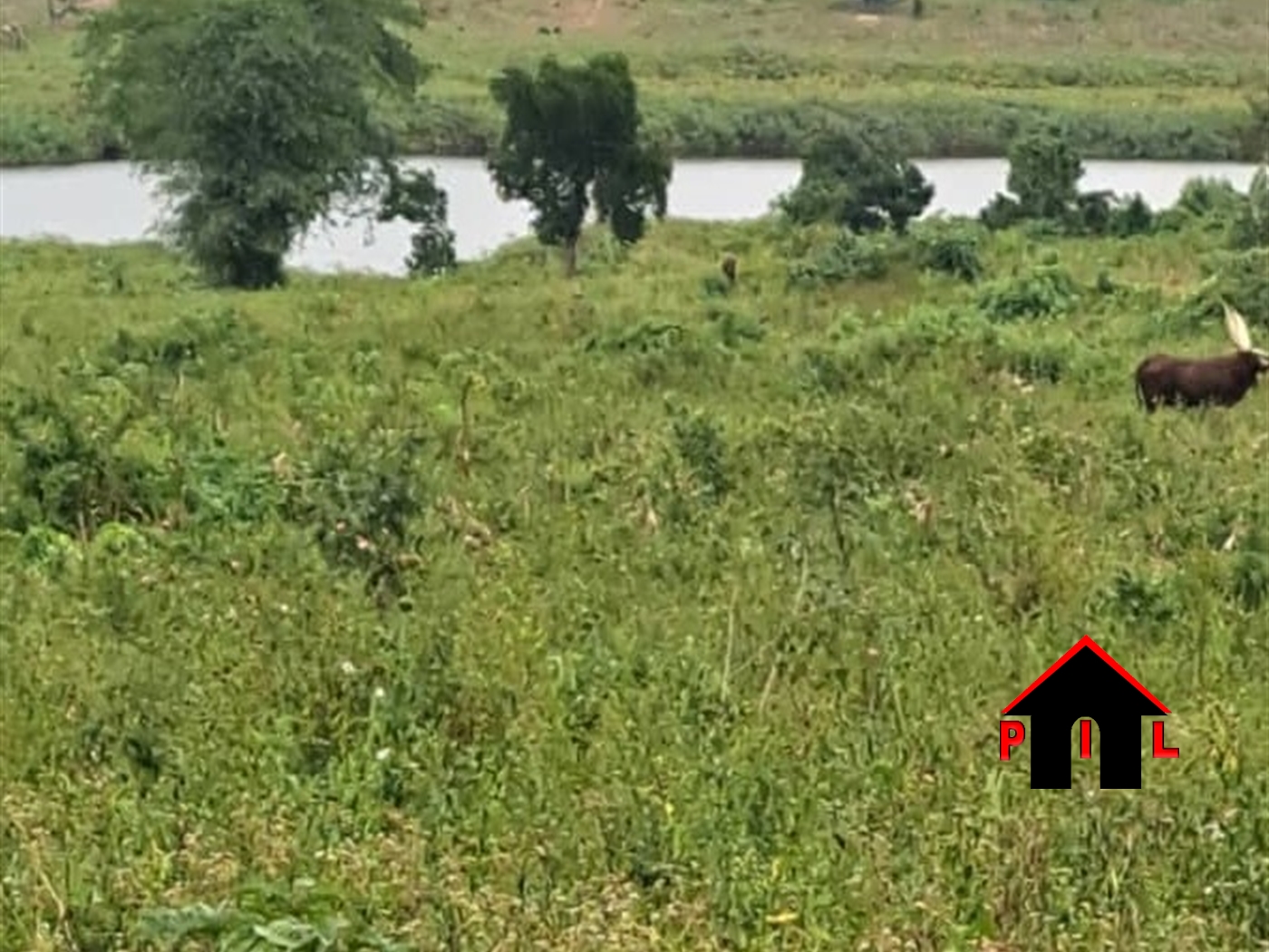 Agricultural Land for sale in Gombatwn Gomba