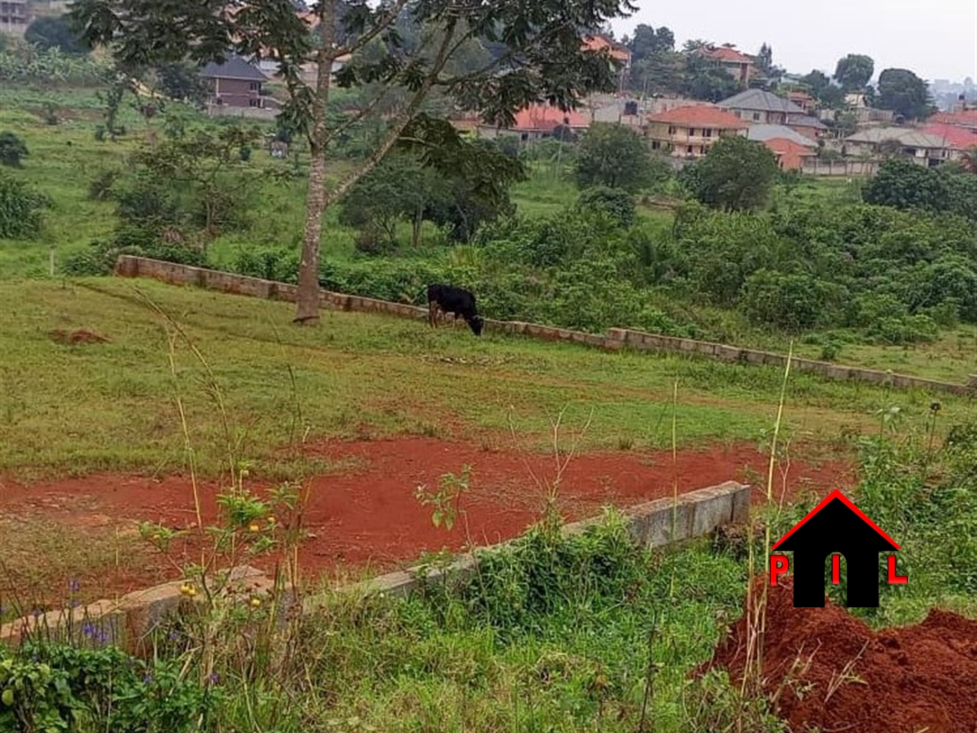 Residential Land for sale in Nangabo Wakiso