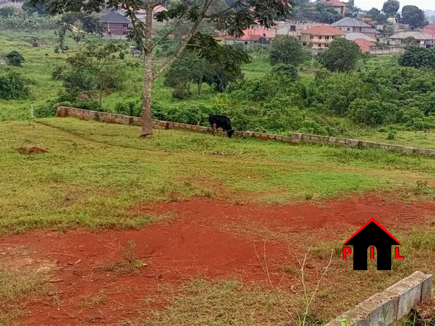 Residential Land for sale in Nangabo Wakiso