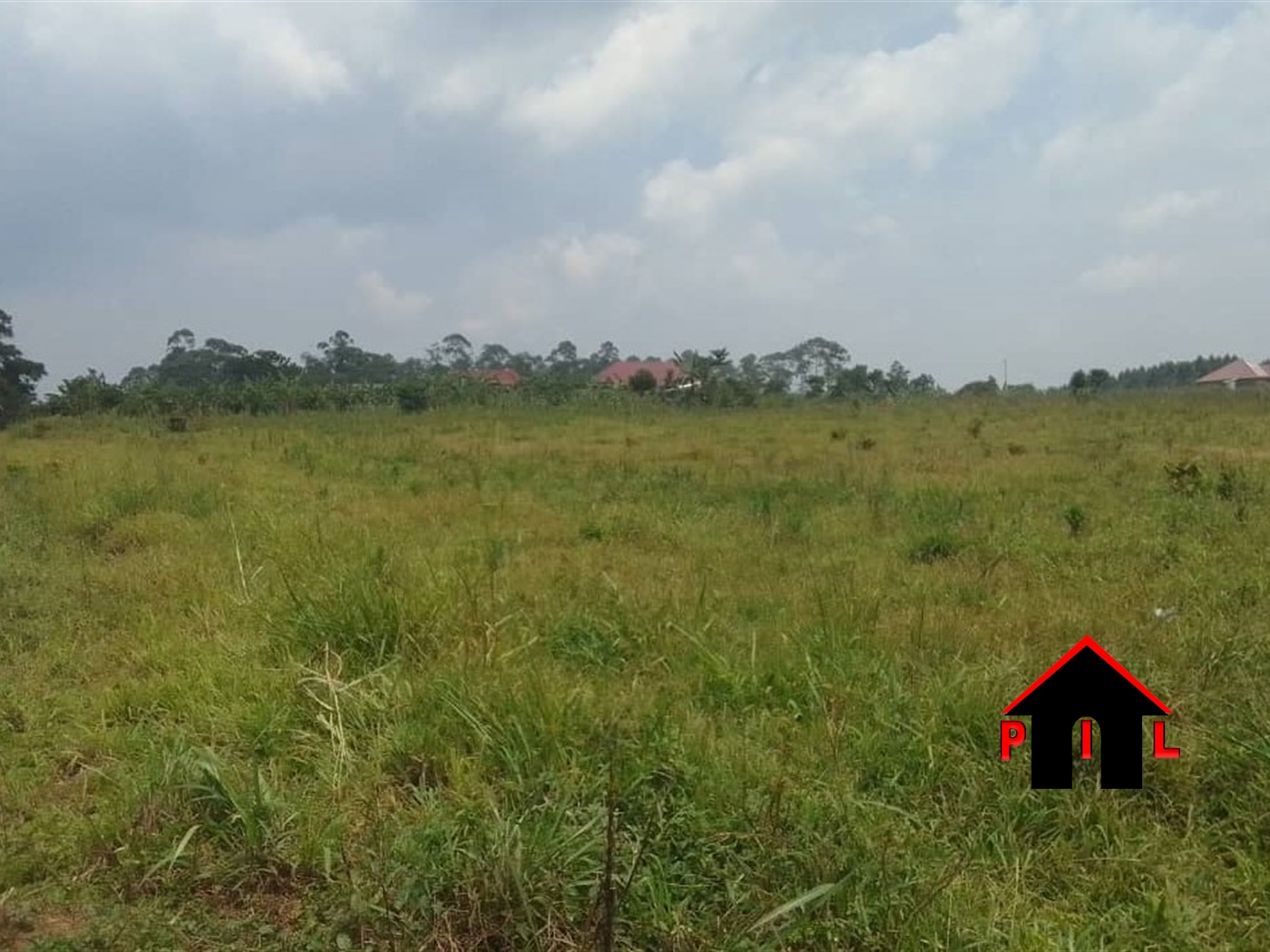 Agricultural Land for sale in Kabunyata Luweero