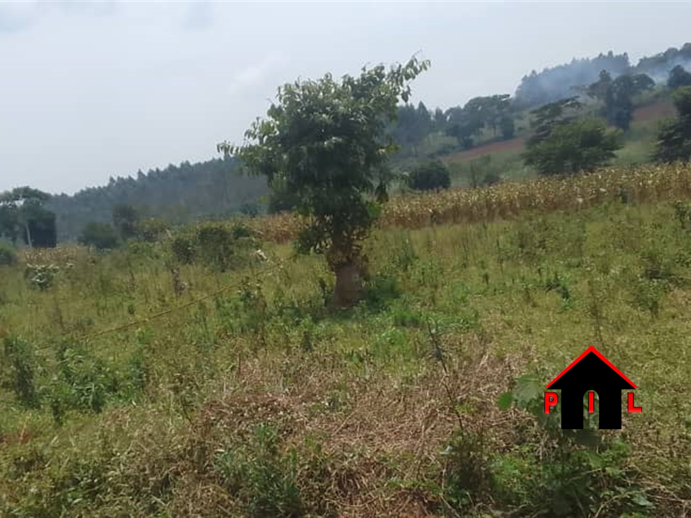 Agricultural Land for sale in Kabunyata Luweero