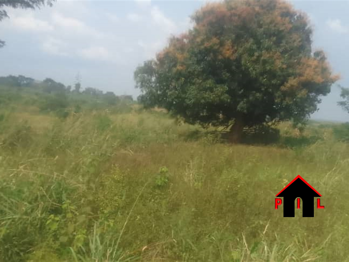 Agricultural Land for sale in Kabunyata Luweero