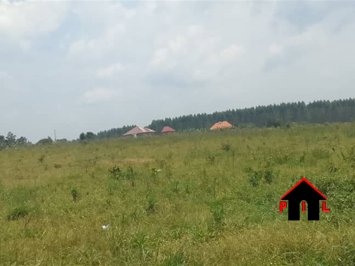 Agricultural Land for sale in Kabunyata Luweero