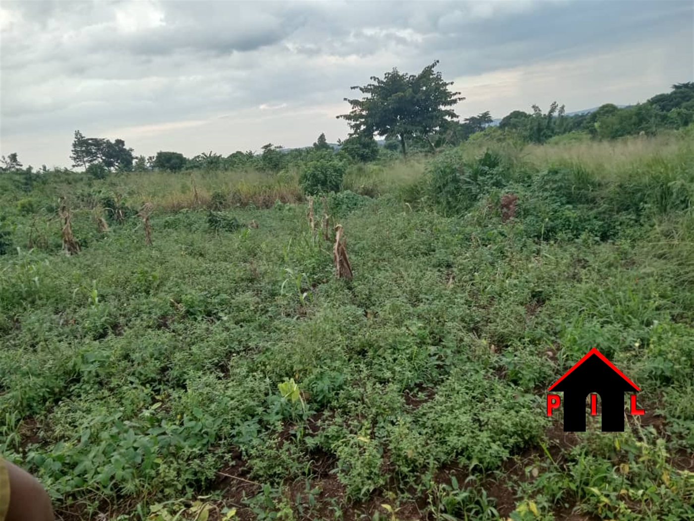 Agricultural Land for sale in Kakuuto Kyotera