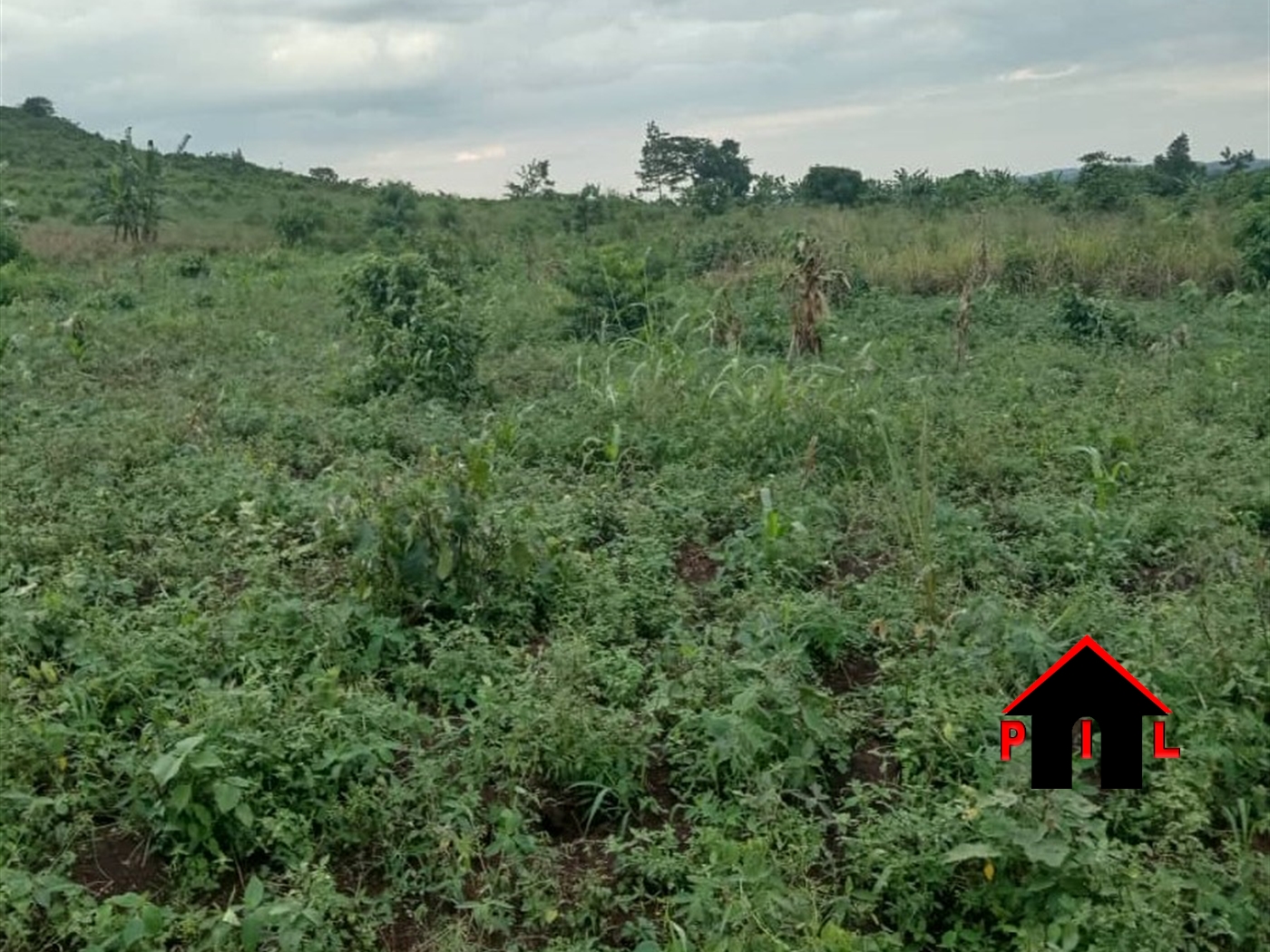 Agricultural Land for sale in Kakuuto Kyotera