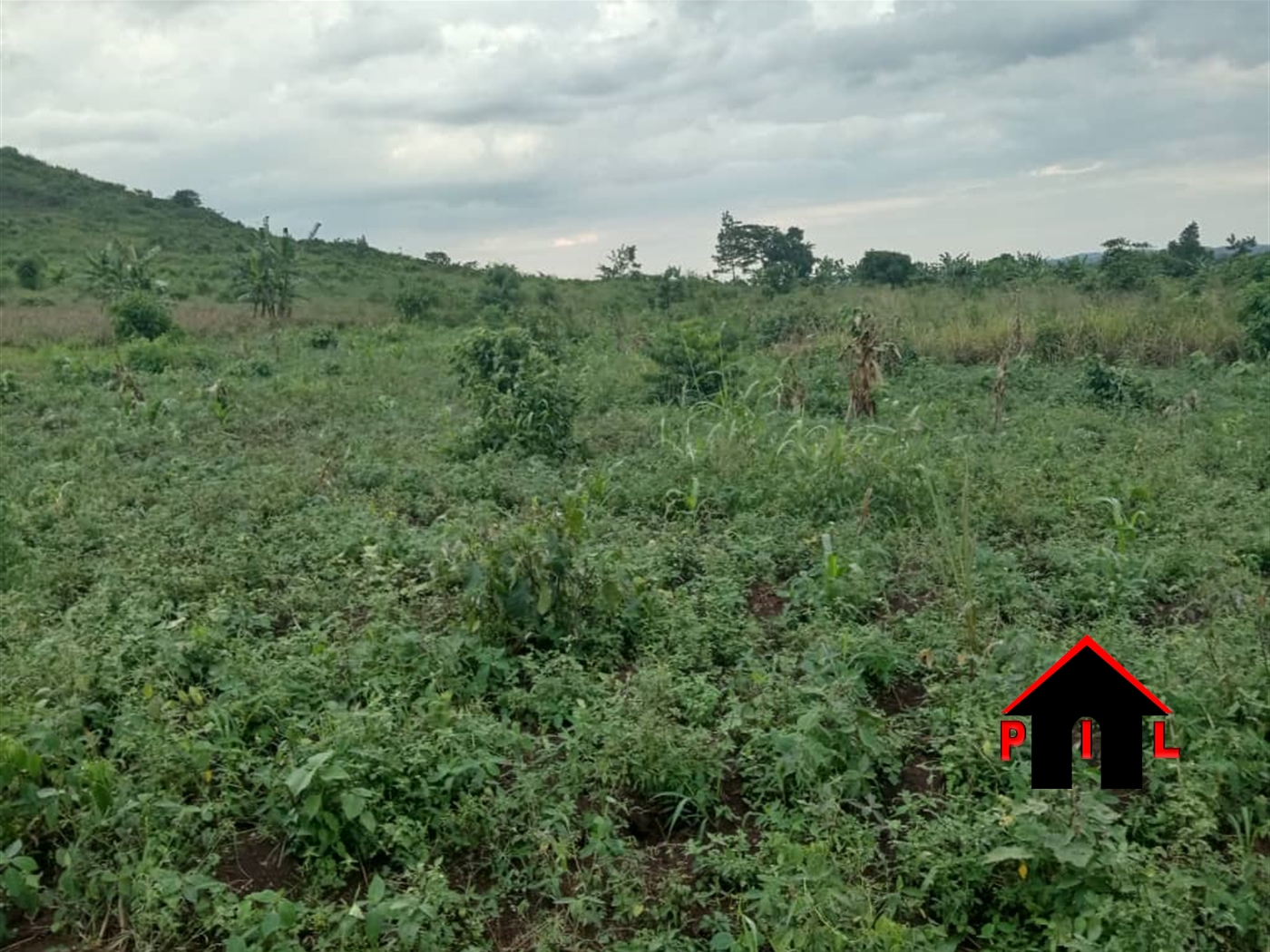 Agricultural Land for sale in Kakuuto Kyotera