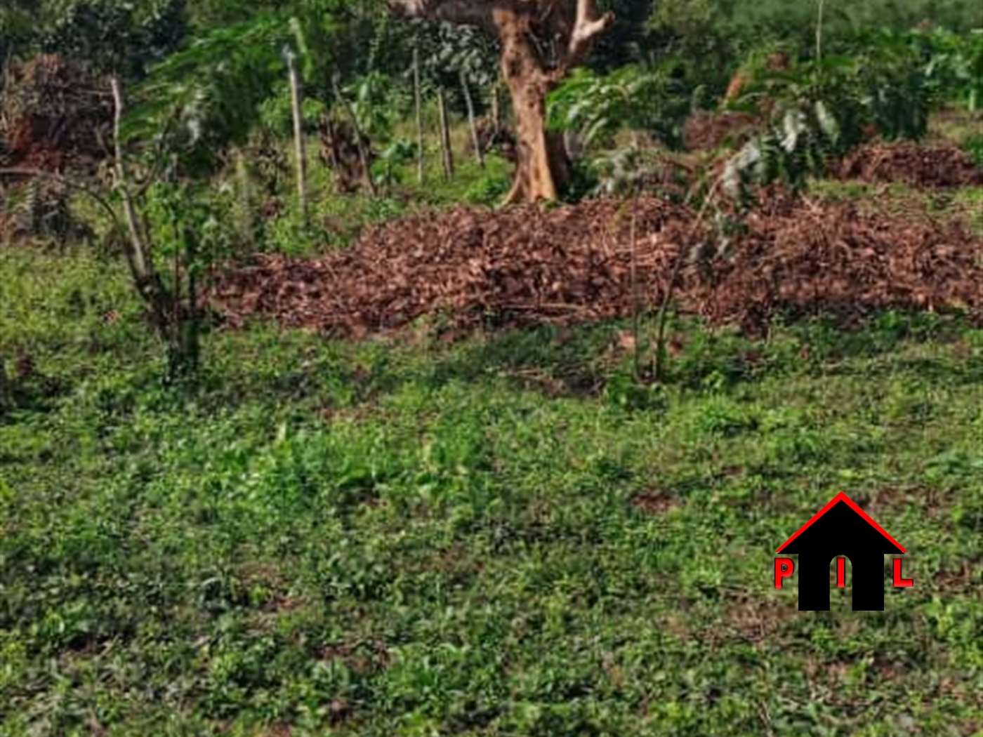 Residential Land for sale in Kira Wakiso