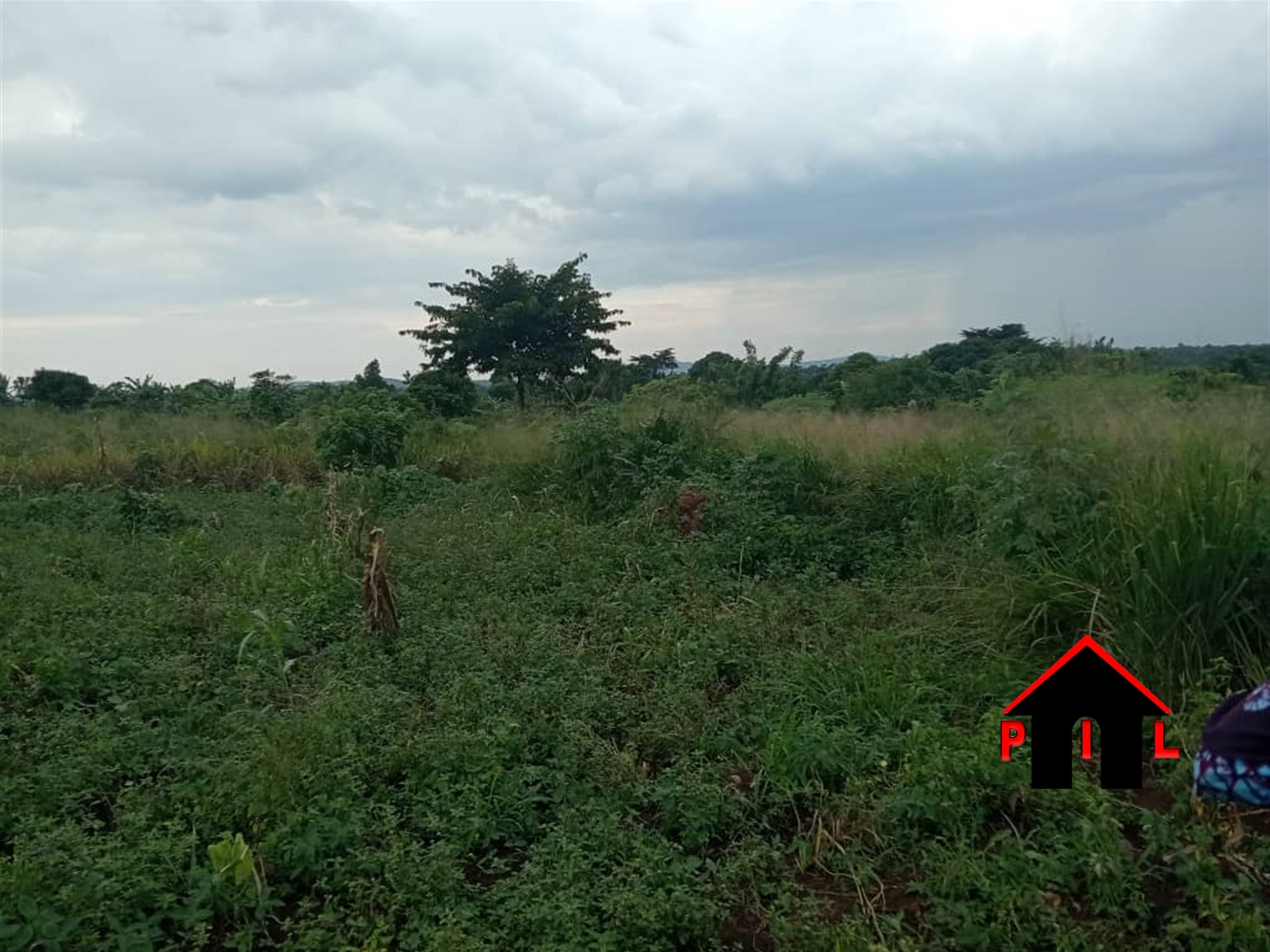 Residential Land for sale in Kira Wakiso