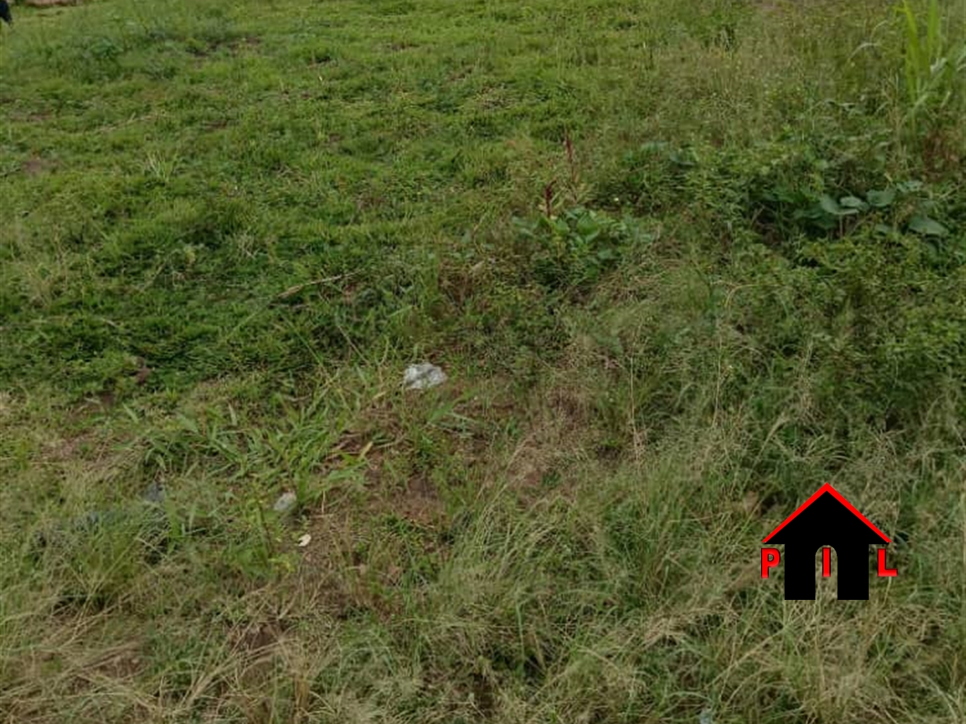 Commercial Land for sale in Kasangati Wakiso