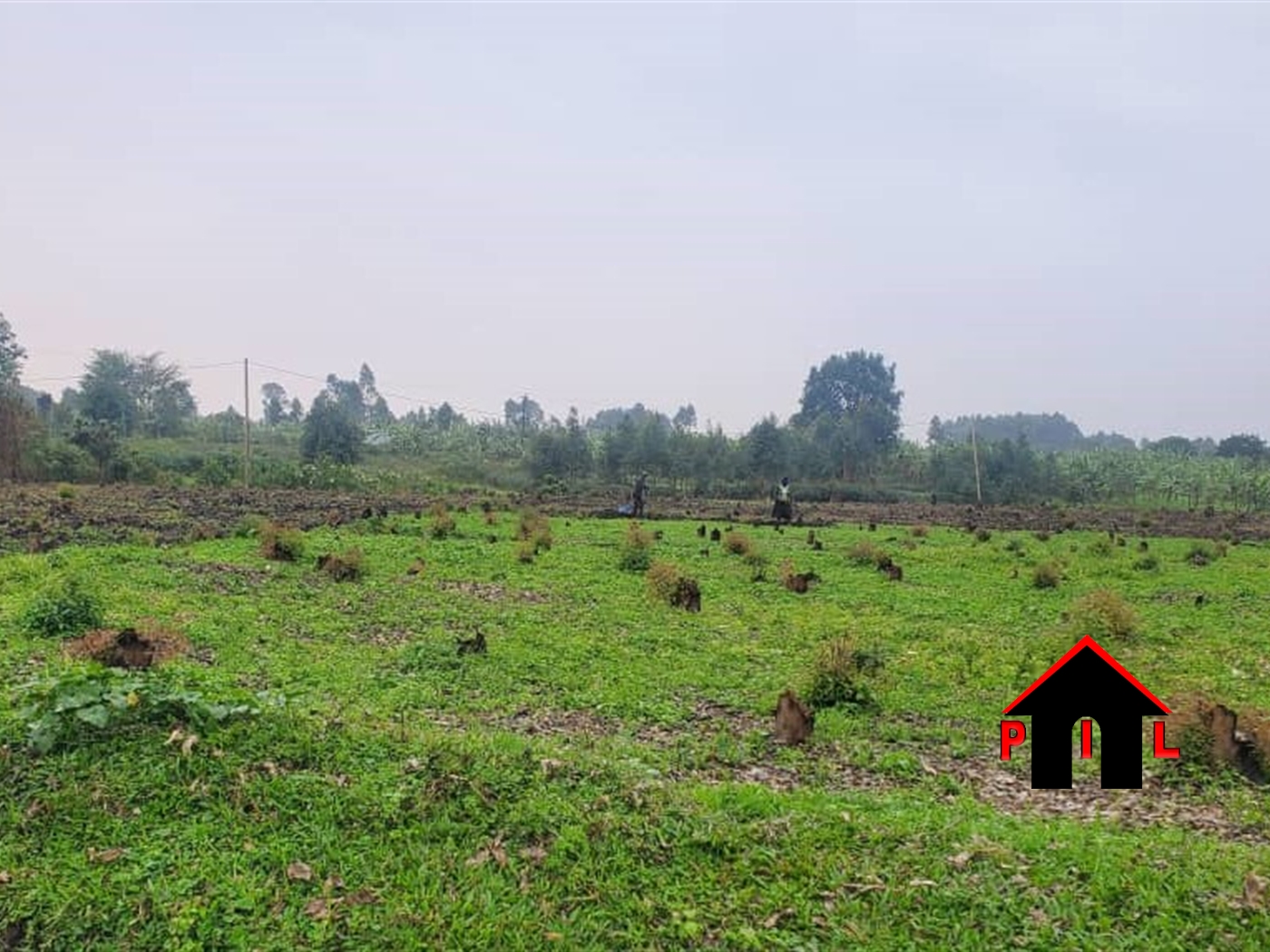 Agricultural Land for sale in Karago Kabarole