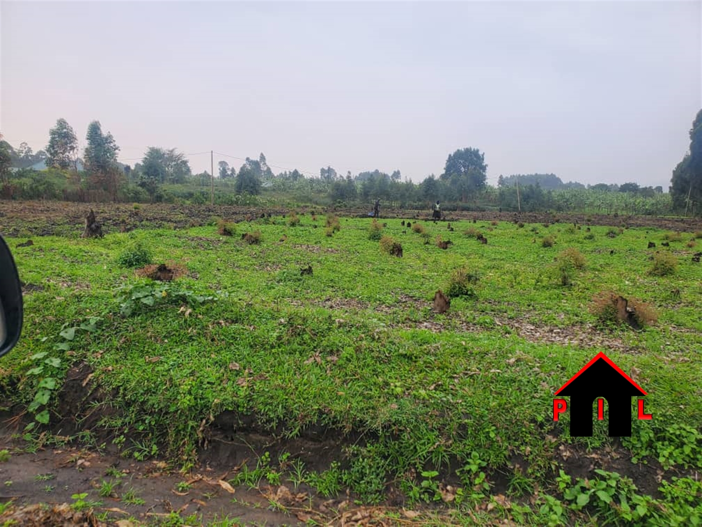 Agricultural Land for sale in Karago Kabarole